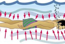 Sự trả giá khủng khiếp cho con người nếu đi quá giới hạn của biển