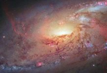 Giả thuyết mới gây tranh cãi về lực hấp dẫn