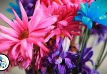 Rửa sạch bình hoa sẽ giúp hoa tươi lâu hơn