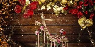 Sự thật về những phản ứng thường gặp khi tặng quà