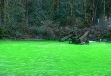 Dòng sông biến sắc xanh sáng kỳ lạ