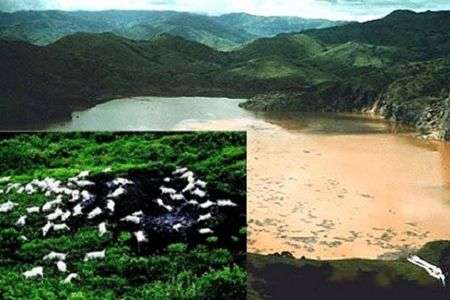 Sương mù bí ẩn giết người hàng loạt