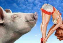 Những mùi hương nhắc đến thì "đỏ mặt" nhưng ai cũng thích ngửi