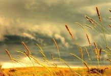 Nguyên nhân sinh ra gió, thủy triều và dòng biển