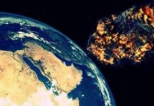 Va chạm thiên thạch đã giúp loài người chúng ta tiến hóa như ngày hôm nay?