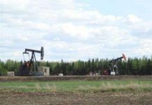 Tìm dầu khí từ không trung