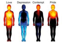 Tại sao cơ thể chúng ta nóng lạnh thất thường?