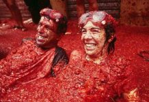 Bạn có tin không? Cà chua có thể biến được thành điện