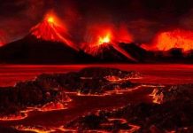 Tìm ra nguyên nhân gây dẫn đến cuộc Đại Tuyệt chủng trên Trái đất