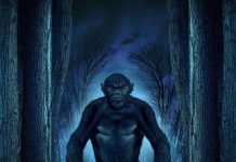 Bí ẩn về dã nhân Bigfoot được làm sáng tỏ