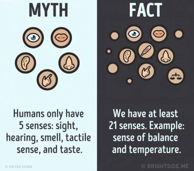 12 nhận thức sai lầm bạn vẫn luôn tin là đúng