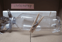 Chế bẫy chuột "bách phát bách trúng" chỉ từ một chai nhựa