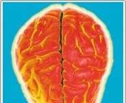 Công việc nhàm chán khiến não ngu đi