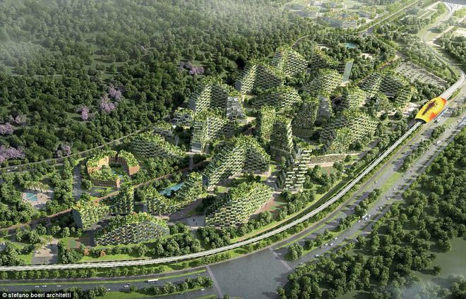 Choáng ngợp trước thành phố rừng xanh đầu tiên của thế giới với 1 triệu cây