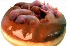 Top 10 món ăn kinh dị nhất hành tinh