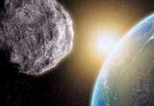 Thiên thạch lớn cỡ nào mới có thể quét sạch sự sống trên Trái Đất?