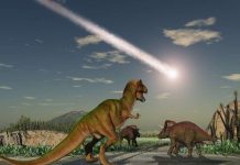 Hai năm trong bóng tối của Trái Đất sau thảm họa tiểu hành tinh