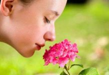 Mũi người ngửi được 1.000 tỷ mùi khác nhau