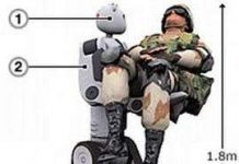 Gấu robot tải thương