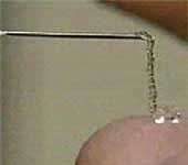 Tái tạo các bộ phận cơ thể người bằng…đông sương