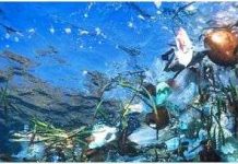 Hơn 6 triệu tấn rác thải bị tống xuống biển mỗi năm Hơn 6 triệu tấn rác thải bị tống xuống biển mỗi năm