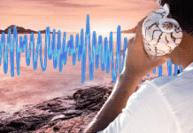 Âm thanh bí ẩn như tiếng "xì hơi" của hàng triệu con cá