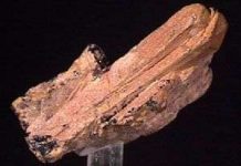 Đất hiếm có ý nghĩa như thế nào với con người