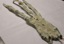 Nghi vấn bàn tay 3 ngón khổng lồ chỉ có thể là của người ngoài hành tinh