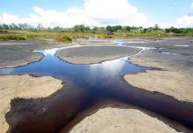 Giả thuyết mới về cách thức tồn tại của "sinh vật ngoài hành tinh"