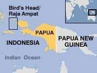 Phát hiện loài cá mập biết “bò” Phát hiện loài cá mập biết "bò"