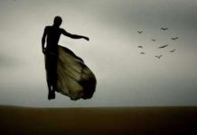 Sự kỳ lạ của những giấc mơ