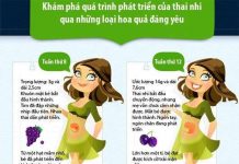 Liên tưởng thú vị về sự phát triển của thai nhi qua các loại quả