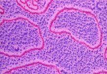 Khả năng sống sót kỳ diệu của ADN trong không gian Khả năng sống sót kỳ diệu của ADN trong không gian