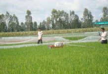 Robot phun thuốc trừ sâu