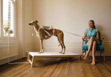 5 quan niệm sai lầm khiến bạn mãi không thể hạnh phúc 5 quan niệm sai lầm khiến bạn mãi không thể hạnh phúc