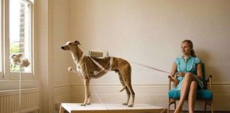 5 quan niệm sai lầm khiến bạn mãi không thể hạnh phúc