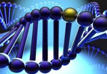 Những bí mật ẩn chứa trong bộ gien người