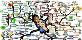 Check "độ sai lệch của não" mà ta không ngờ tới