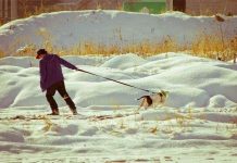 Vì sao chúng ta thường làm trái với ý kiến người khác? Vì sao chúng ta thường làm trái với ý kiến người khác?