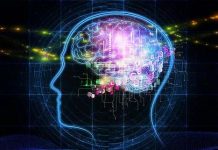 Não người già có thể tốt hơn người trẻ