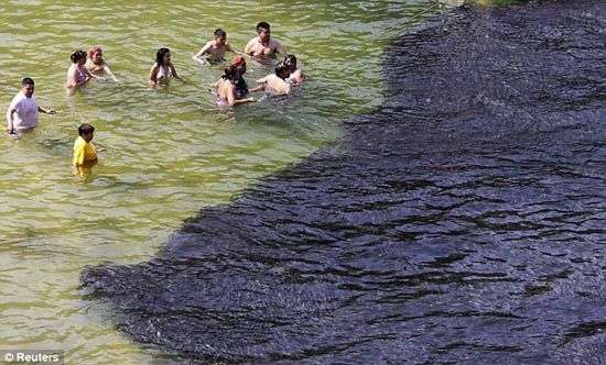 Cá nhuộm đen bờ biển Mexico