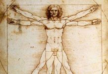 Khám phá bác bỏ "Người Vitruvius" của Da Vinci là hoàn hảo