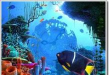 Những bí mật của biển: Âm thanh và các sinh vật biển