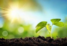 Biến năng lượng Mặt Trời thành nhiên liệu lỏng