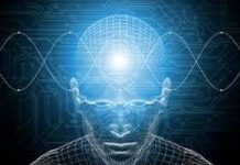 Chỉ số thông minh không liên quan thể tích não