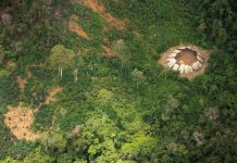 Bộ tộc sắp tuyệt chủng được phát hiện trong rừng Amazon