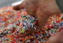 Hãng NEC sản xuất nhựa sinh học từ vỏ hạt điều Hãng NEC sản xuất nhựa sinh học từ vỏ hạt điều