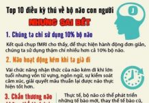 10 điều "thú vị nhưng sai bét" về não bộ con người