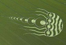 “Con sứa” bí ẩn trên cánh đồng tại Anh