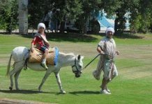 Biến động vật thành… trạm phát sóng wifi Biến động vật thành… trạm phát sóng wifi